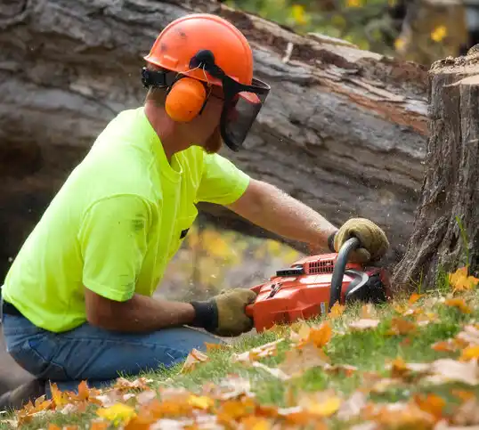 tree services Peru